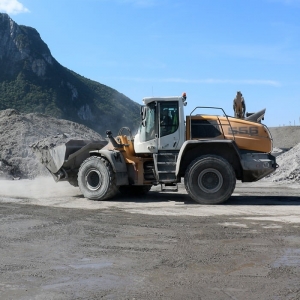 Chargeurs à pneus LIEBHERR