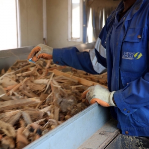 Production de combustible en bois